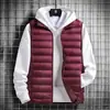 Nuevas chaquetas acolchadas de algodón para otoño e invierno para hombres y mujeres, chalecos de algodón rellenos de plumón, chalecos de cuello alto, ropa de trabajo cálida y opciones de logo personalizadas