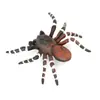 Estatueta Realista de Aranha de Veludo Modelo de Aranha Vermelha de Veludo Brasileiro PVC Brinquedo Educacional para Crianças Decoração de Casa 72 x 7 x 12 cm