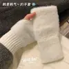 Nuevos Guantes de Felpa de Medio Dedo Estilo Ins, Calcetines de Mano Cálidos de Otoño e Invierno de Aspecto Elevado para Princesas, Pantalla Táctil para Estudiantes en Clase