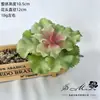2026 Simulación de Suculentas Mini Adornos Combinación Decoración Exterior para el Hogar Plantas en Maceta Bonsái Suculentas Decoración al por Mayor