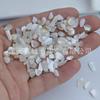 Concha de clavo irregular marina ultrafina corrugada grava blanca joyería concha de mar hoja fina concha mágica de sirena