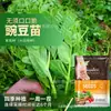 Shandong Shouguang enciclopedia de semillas de hortalizas mayorista fuente de semillas de melón y frutas fabricantes soporte para las cuatro estaciones primavera y verano envío directo