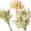 Flor seca de trigo, cola de conejo, hierba seca, avena, caña seca, accesorios de tiro, decoración para sala de estar y hogar.