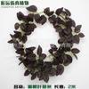 Enredaderas Enroscadas Alrededor de Hojas de Potos para Decorar Enredaderas Simuladas, Hojas de Uva, Hiedra Hojas de Arce, Enredaderas Trepadoras, Ratán Simulado