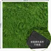Musgo artificial bonsai pavimento relvado planta verde musgo filiforme decorativo diy gramado de musgo artificial