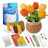 Paquete de Materiales de Crochet Más Vendido de Amazon Serie de Plantas Adornos de Flores en Maceta Regalos Soporte Dropshipping