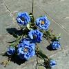 Viento de océano azul flores de simulación para boda al por mayor azul oscuro azul zafiro azul bruma blanco boda camino guía techo flores falsas