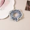 Scrunchie de Veludo de Alta Elasticidade Estilo Coreano Transfronteiriço Outono e Inverno Acessório de Cabelo Gravata de Cabelo Retro de Alta Qualidade Acessório de Cabelo Feminino Acessório de Cabeça