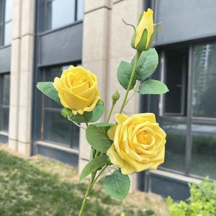 3头意式玫瑰-sxlzjx-黄色.JPG