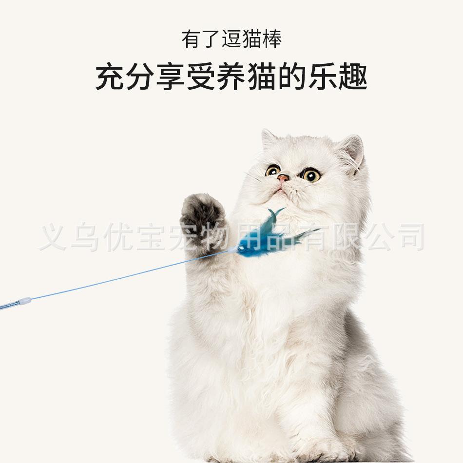 彩竿单羽详情_03