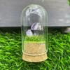 Exhibición de vidrio con micropaisaje de hongos en una variedad de materiales opcionales