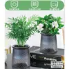 Rábano Verde Árbol de la Fortuna Espárrago Bambú Flor de Incienso de Nueve Millas Planta en Maceta Interior Menta Bambú Rico Planta Hidropónica Fácil de Alimentar