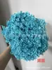 [Niebla Natural Hortensia] Flor Eterna Flor Seca Hortensia Anna Hortensia Lobular Material para Boda DIY Venta al por Mayor