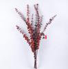 Folhas de eucalipto Flores secas para sempre flores Yunnan flores secas buquê de flores preservadas atacado arranjo de flores decorativas com flores de caixa de presente