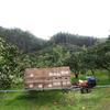 Vehículo de transporte monorraíl huerto de montaña granja motor de gasolina alta potencia autopropulsado manejo doméstico tren pequeño vía
