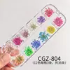 Decoraciones para Uñas con Flores Secas Estilo Jardín de Monet Estilo Japonés Frescas Mixtas Naturales Flores Reales Flor Pequeña Caja de Materiales para Uñas