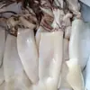 Calamares Frescos Grandes, Pelados, Desviscerados, Ojos y Dientes Retirados, Peso Neto Carne de Pescado, Congelados Rápidamente y Enviados Frescos