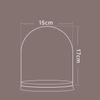 Flor eterna de corcho con cubierta de vidrio transparente, regalo de San Valentín, decoración, regalo festivo, material de cubierta de vidrio