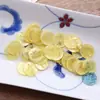Colgante de Disco con Concha de Espejo de Colores Lámpara de Cortina Delgada Campana de Viento Decoración Bolsas Pendientes Accesorios Materiales Hechos a Mano