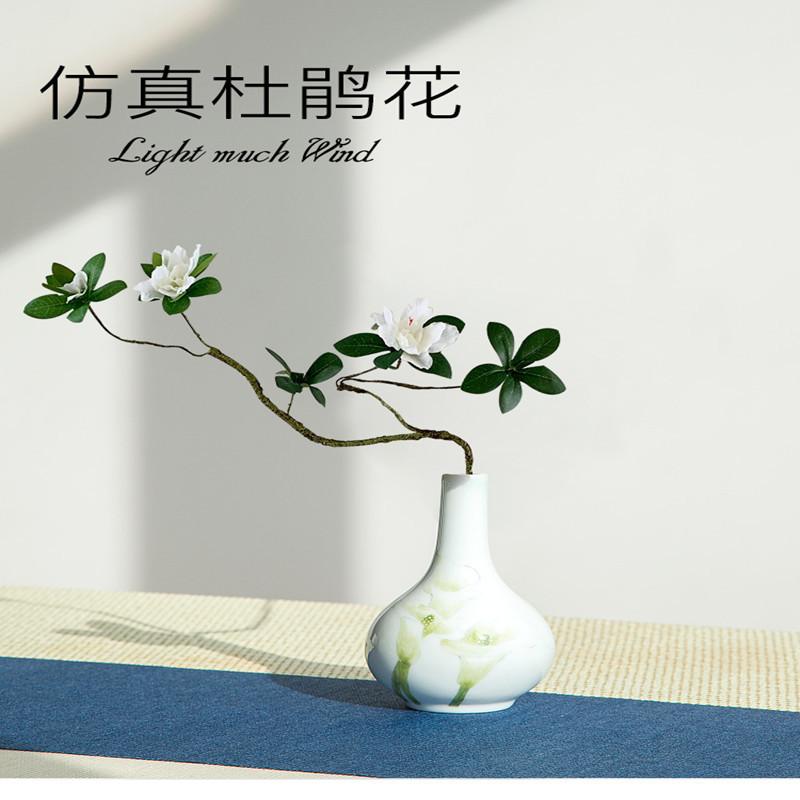杜鹃1_01_副本