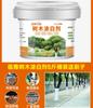 Tronco Árvores Agente de branqueamento Esterilização à prova de insetos Proteção de inverno Árvores frutíferas Plantas de branqueamento de jardim Pó de cal à prova de congelamento