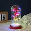 Eternal Flower Glass Cover Atacado Novo Presente Criativo Rosa Flor Desktop Ornamentos Cor LED String Light Night Light