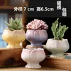 Vaso de flor de suculenta em cerâmica com prato, oferta especial, diâmetro grande, tamanho grande, vaso criativo para suculentas de casa