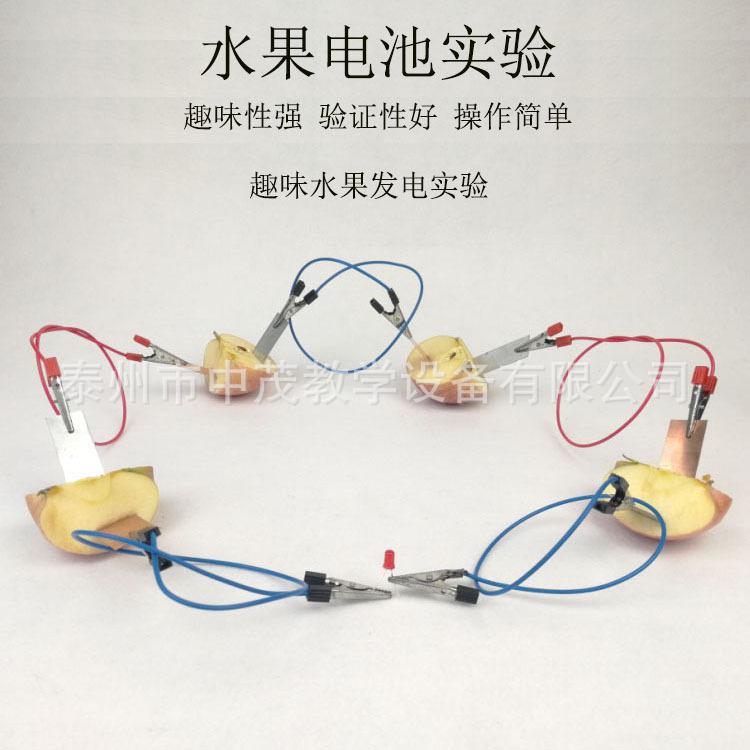 水果电池 (1)
