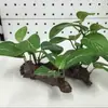 Comércio Exterior Plantas Aquáticas Artificiais/Plantas de Paisagismo para Aquário de Tartarugas/Decorações de Paisagismo para Aquário Peixe Resina Madeira Flutuante