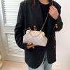 Bolsa mensageiro casual da moda 2024, bolsa feminina estilo coreano popular, bolsa de concha, corrente, bolsa de ombro simples, bolsa feminina