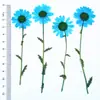 Flores Secas com Galhos, Crisântemos e Margaridas Prensados, Kit de Material para Abajur de Mesa com Flores Prensadas, Marcador de Página de Flores Naturais, Espécime de Planta em Resina