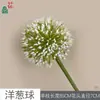 Bolinhos de Cebola, Dentes-de-leão, Decorações para Vitrines Comerciais, Arranjos de Flores, Flores Artificiais, Flores de Seda para Exibição em Salas de Estar Domésticas