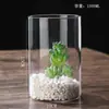 Vaso de Vidro Borossilicato Alto Garrafa Cilíndrica Reta para Planta Hidropônica Decoração de Mesa Ornamento Vaso Pequeno Vaso de Flores Venda por Atacado