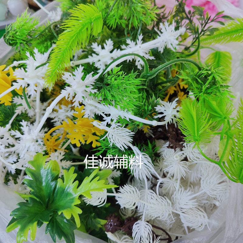 椰树-花W.jpg