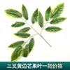 Ramas de Árbol de Simulación Enverdecimiento Hojas de Árbol Falsas Decoración de Ingeniería de Jardín Accesorios para Actuaciones de Árbol Grande Hojas de Higuera Recubiertas de Pegamento Rama de Paisajismo