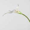 Flor Artificial Material Suave EVA Doble Pétalo Cala Flor Falsa Accesorios Decorativos Hogar Boda Vestido Suave Flor para Sostener Arreglo Floral