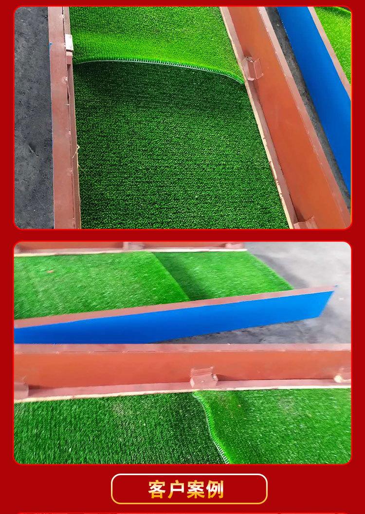 粘金草 (6)