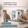 Comedero Automático para Perros y Gatos Juego de Comedero y Bebedero 2 en 1 para Gatos y Juego de Comedero y Bebedero para Perros