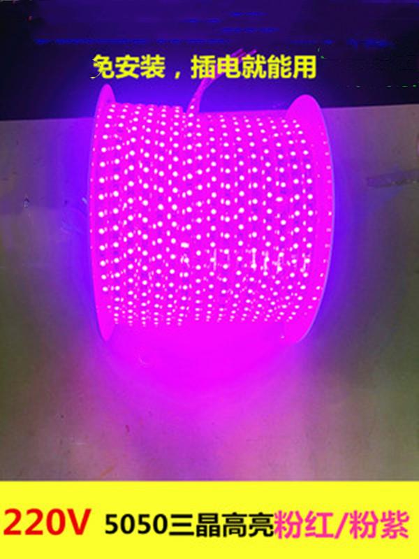 O1CN01c3u9G21tUXMeZYs3P_!!2547