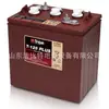 Batería Trojan Qiu Jian T-125PLUS para plataforma elevadora 6V240Ah con garantía de 1 año