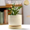 Vaso de Cerâmica para Flores com Prato, Estilo Ins de Luxo Leve, Diâmetro Grande, Estilo Creme, para Orquídeas e Suculentas, Liquidação