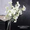 Decoración para el Hogar Floral Color Champagne para Mesa de Café de Sala de Estar, Arreglos Florales para Bodas, Decoración de Pared de Fondo para Bodas, Piezas de Arte con Flores Artificiales