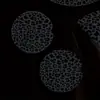 Amazon, Temu y Productos de Comercio Exterior Transfronterizo Incluyen Hombreras de Leopardo Negro para Coche, Fundas para Volante y Posavasos