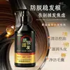 Champú Anti-Caída Qianfei con Ginseng, Hoja de Ciprés de China, Polygonum Multiflorum y Jengibre para Control de Grasa, Dar Volumen, Refrescar, Anti-Caída y Fortalecimiento del Cabello