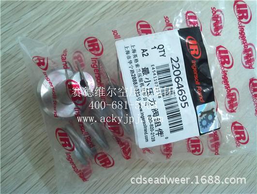 22064695英格索兰*小压力阀维修包