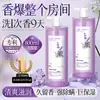 Set de Gel de Ducha Limpiador y Rejuvenecedor Mismo Estilo de Xiaohongshu Gel de Ducha Rosa Lavanda Fragancia de Larga Duración Hotel Famoso