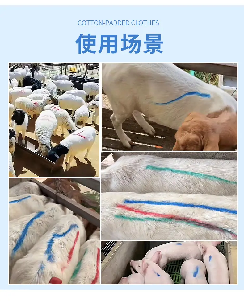 蜡笔详情_03