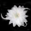 Nueva Moda Flor Grande Tela Accesorios para el Cabello Flor de Peonía para la Cabeza Headdress para Baile Cuadrado Pasador Diadema con Flor para Niños