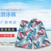 Calções de Praia Masculinos de Cinco Pontos Estilo Calção de Banho, Calções de Banho Masculinos Que Podem Entrar na Água, Estilo Solto, Águas Termais, Beira-Mar, Pequenas Quantidades, Atacado em Estoque