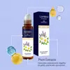 Laniska Aceite Esencial Roll-On Cuidado de Lavanda Masaje Enfriador para la Zona del Oído Cuidado Diario Portátil Roll-On Aceite Esencial